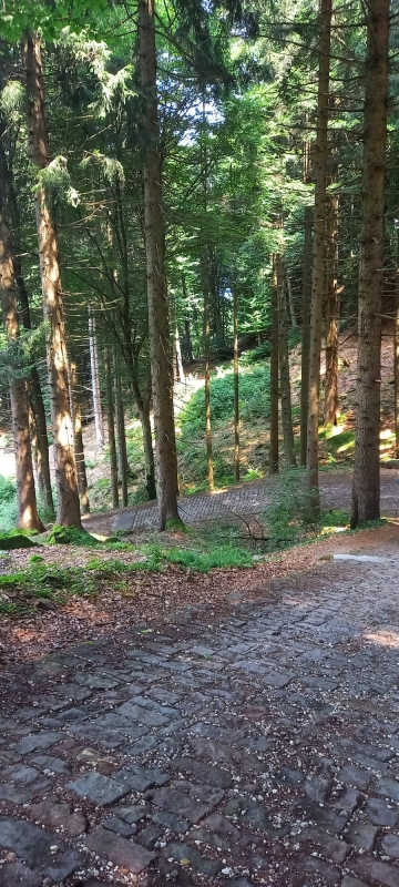 Lago Santo 15
