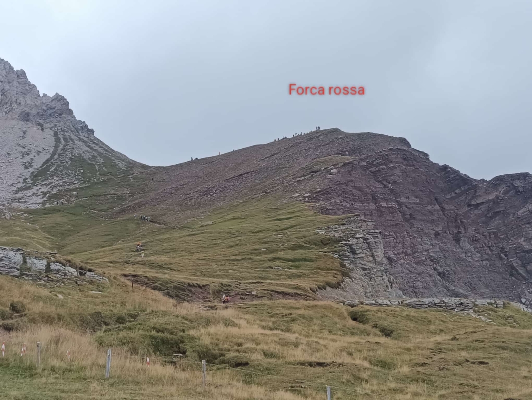 Forca rossa 17