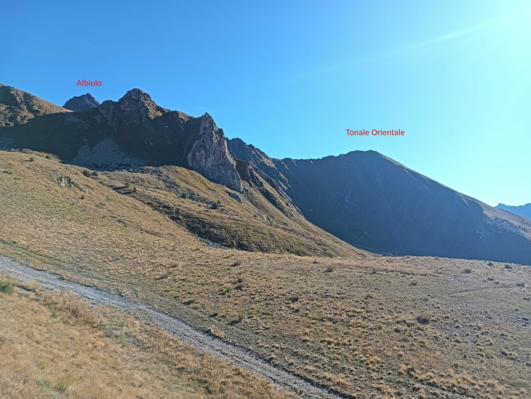 Monti Tonale 6
