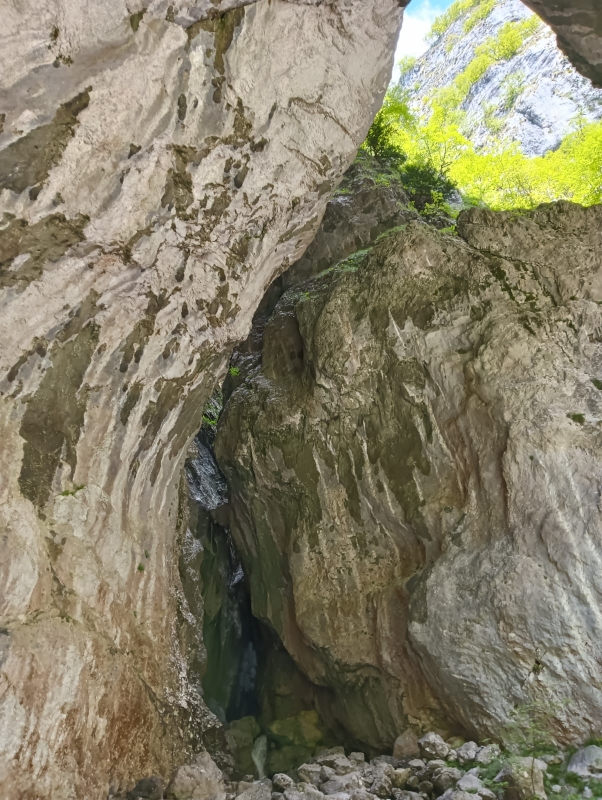Arca di Fraporte