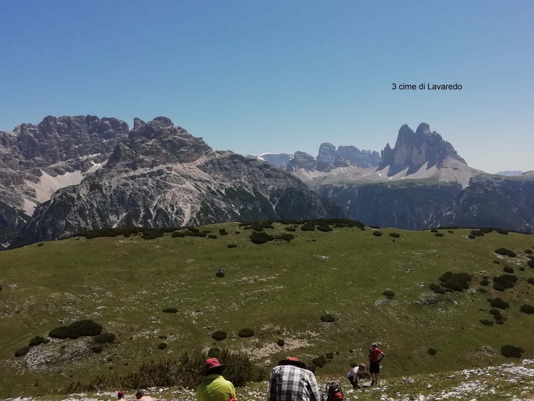 Monte Specie