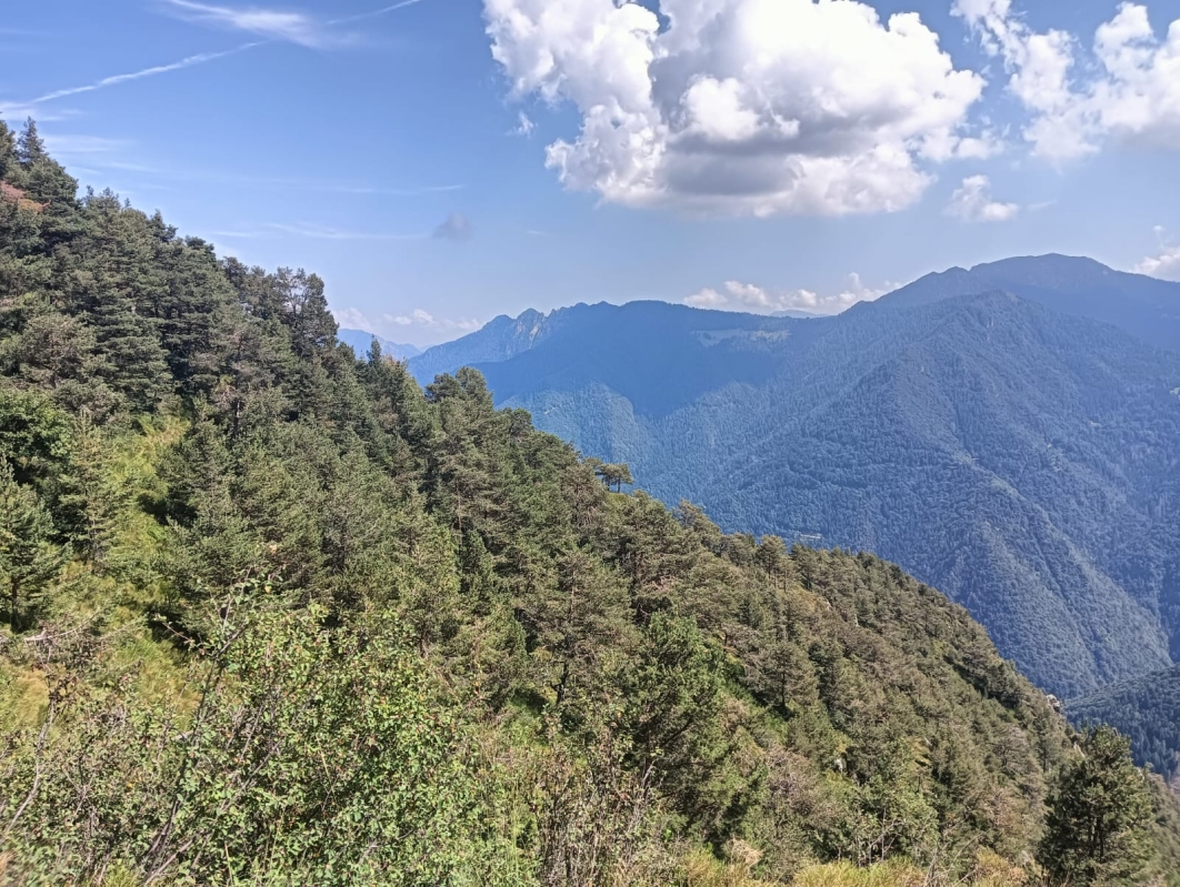 Monte Stigolo