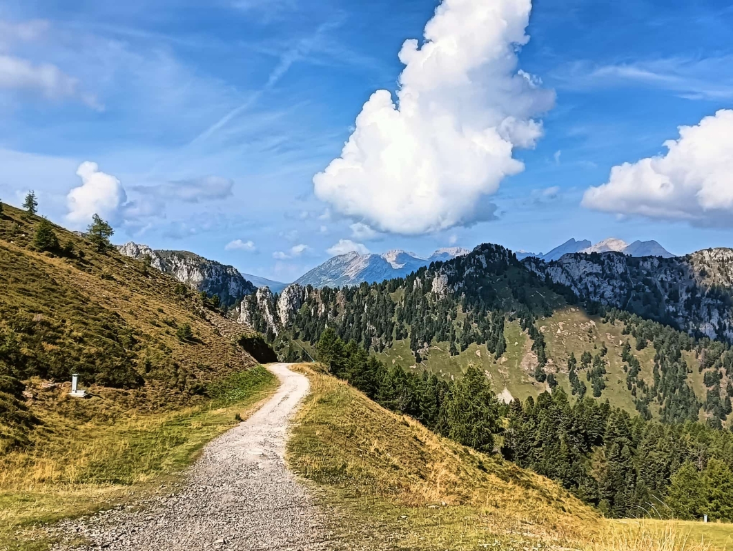 Alpe Lusia 8