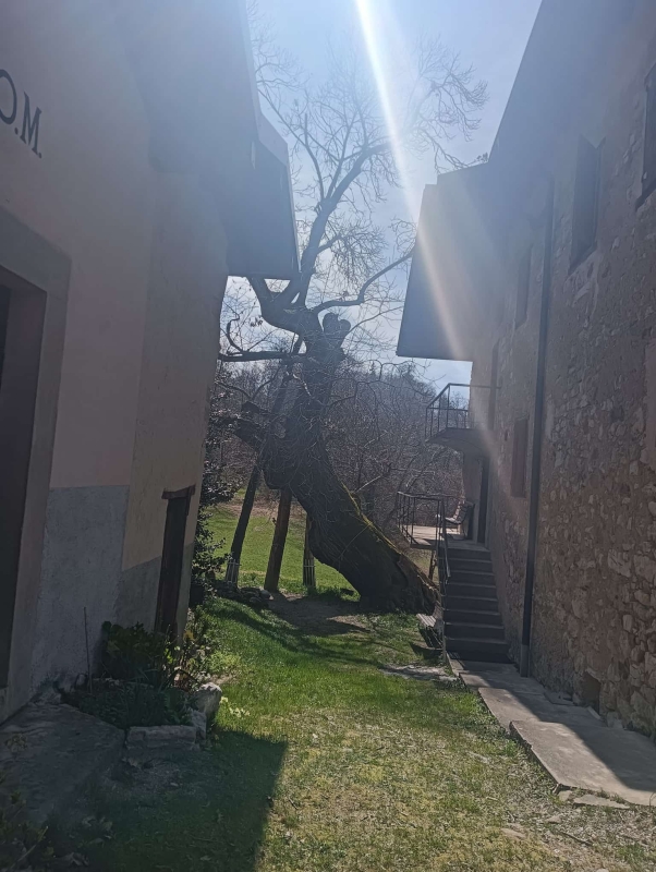Borghi contadini 24