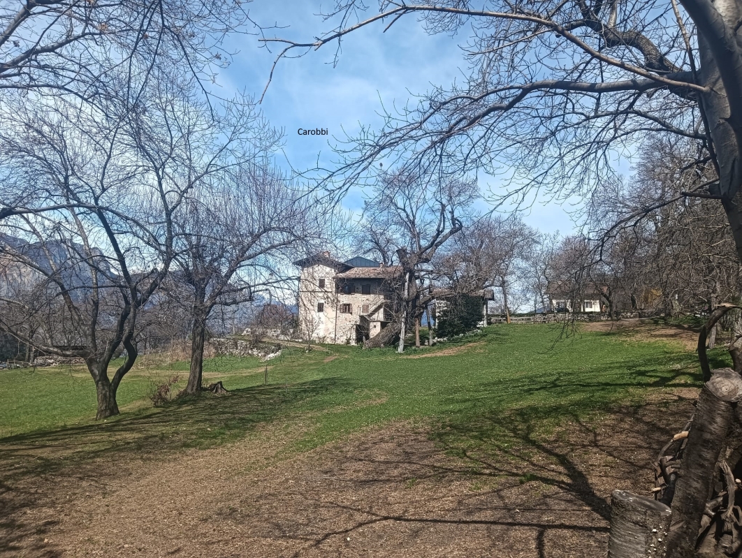 Borghi contadini 23d