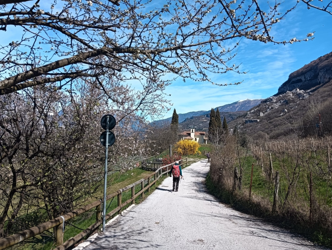 Borghi contadini 23b