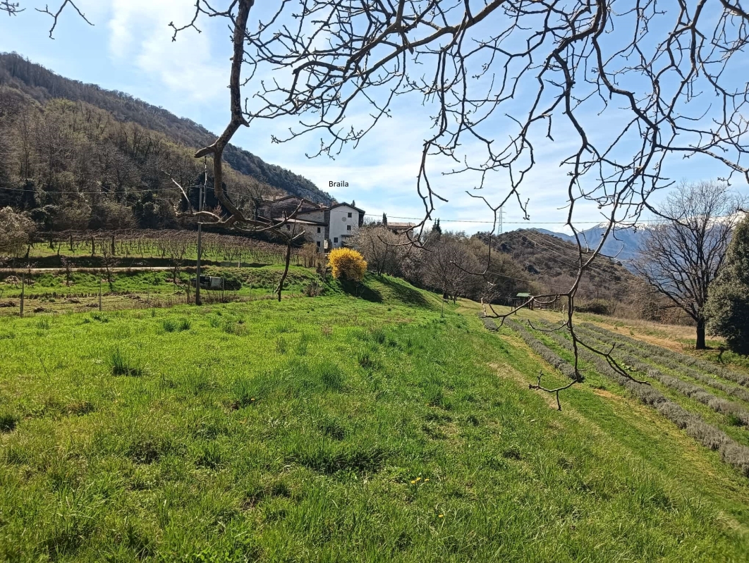 Borghi contadini 23a