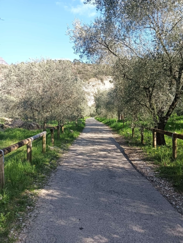 Borghi contadini 3