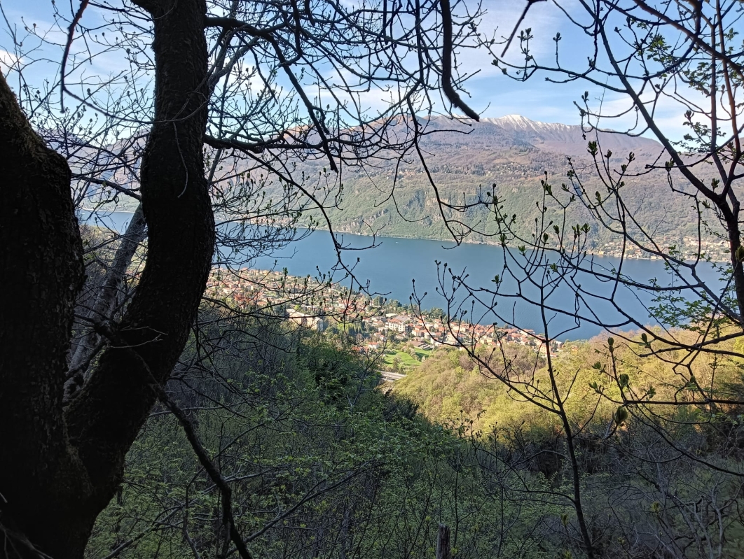 Sentiero del Viandante 06 aprile 4