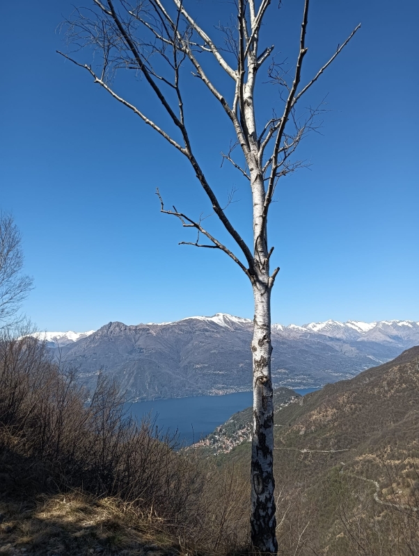 Sentiero del Viandante 6 aprile 21
