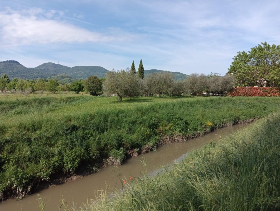 Colli Euganei 2