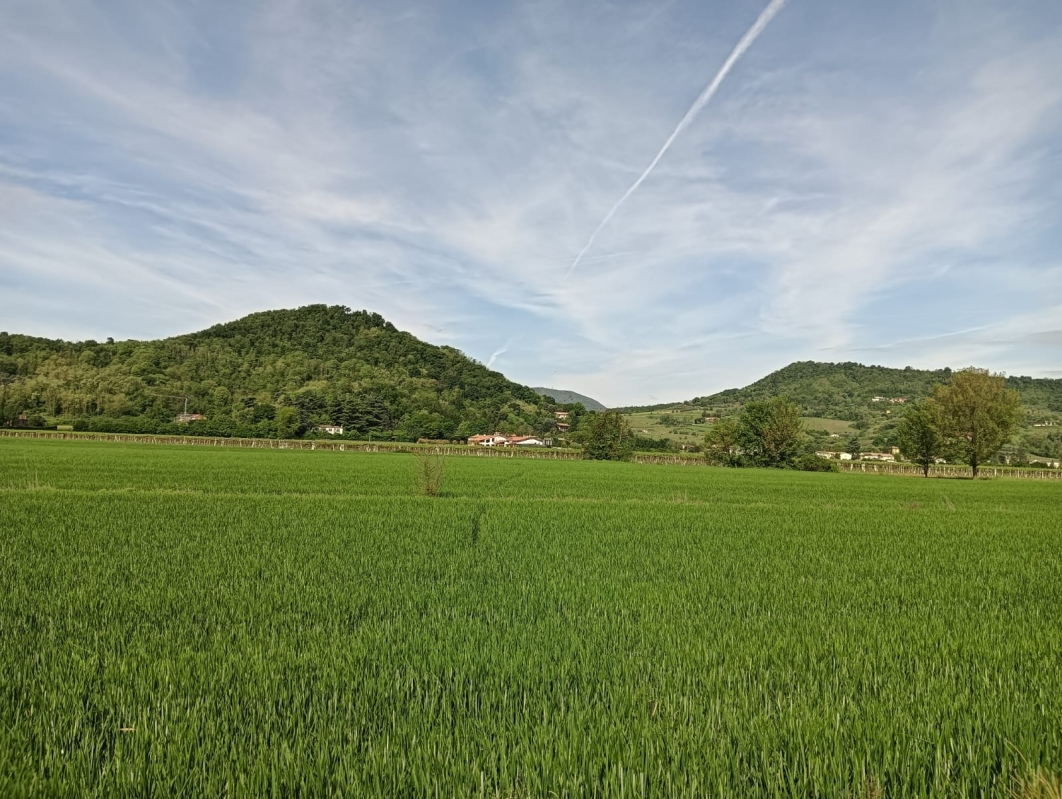 Colli Euganei 3