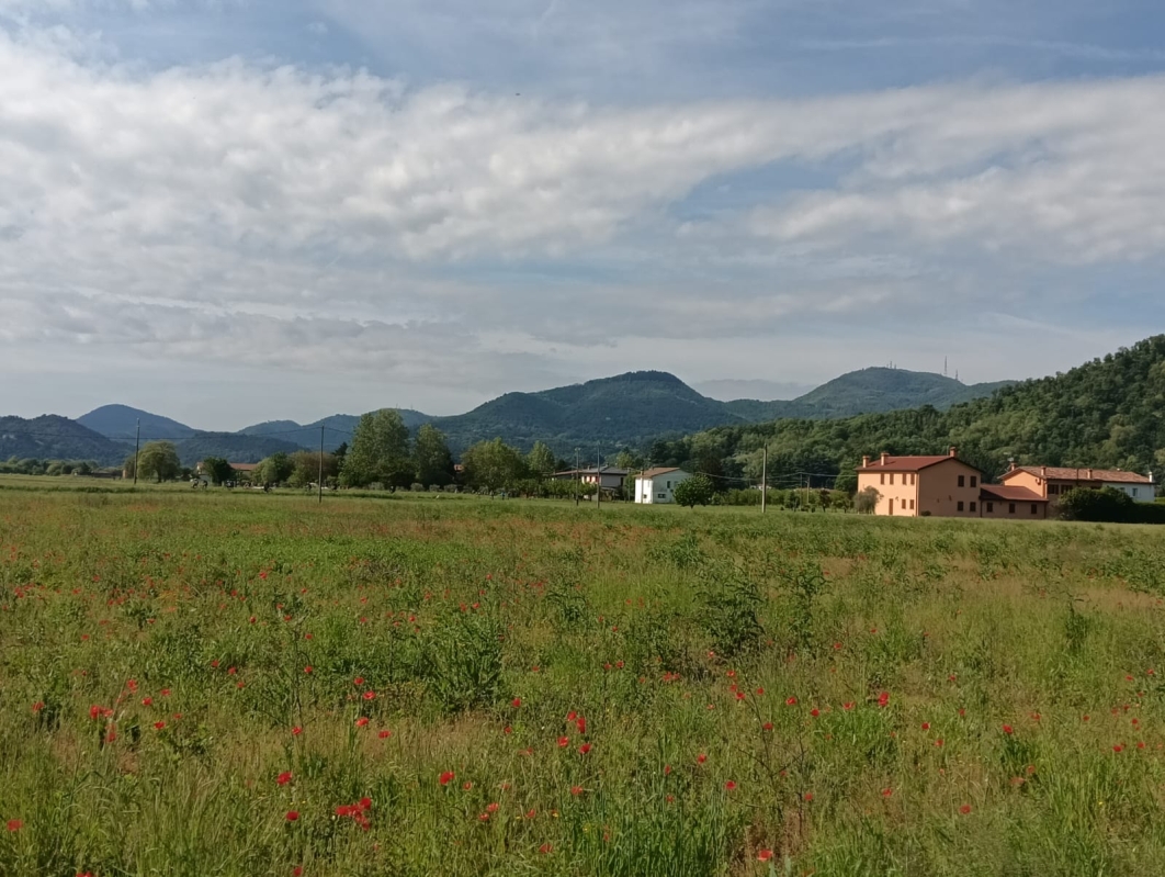 Colli Euganei 4