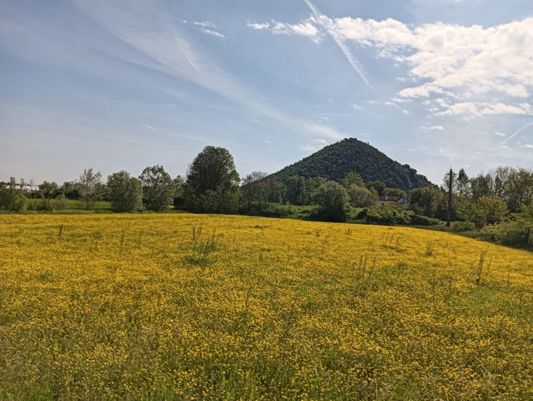 Colli Euganei 6