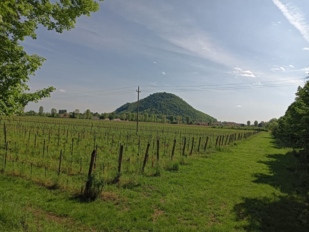 Colli Euganei 8
