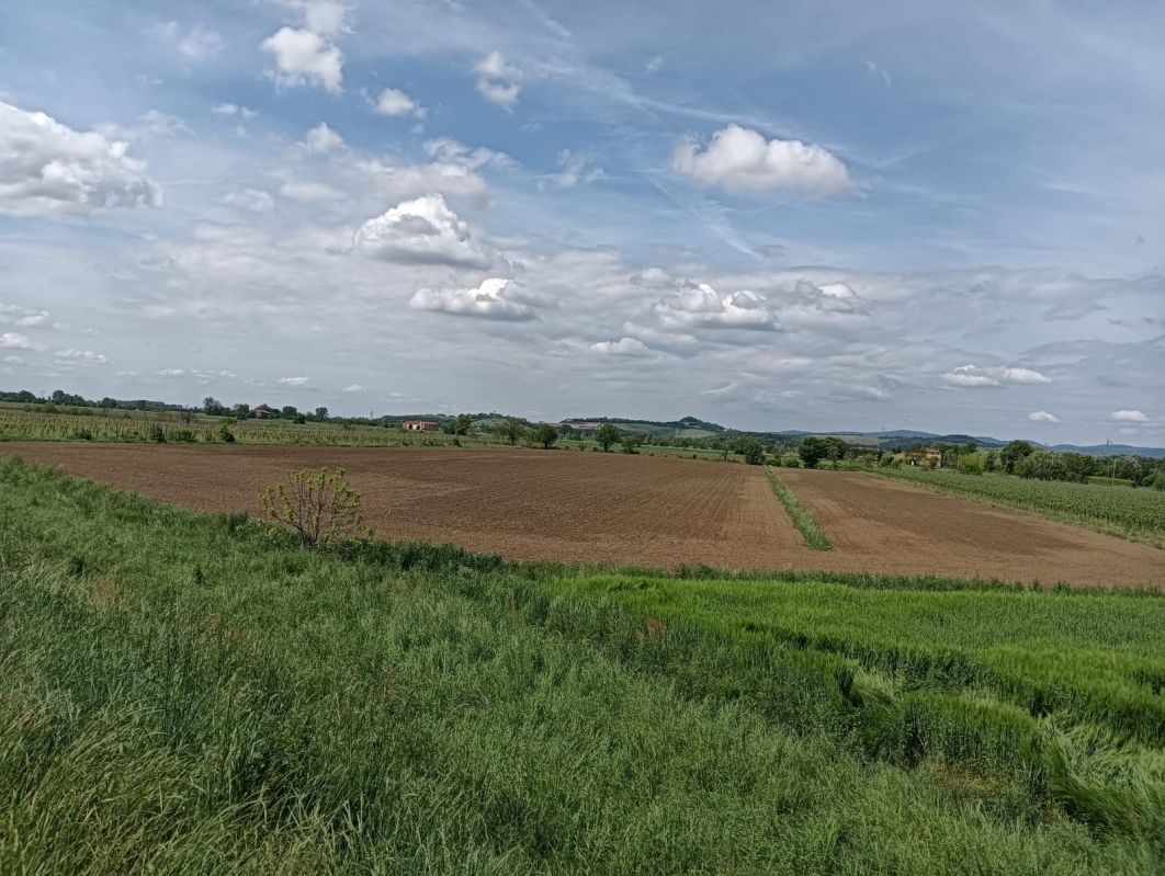Colli Euganei 11