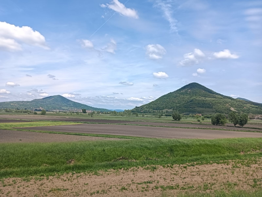 Colli Euganei 12