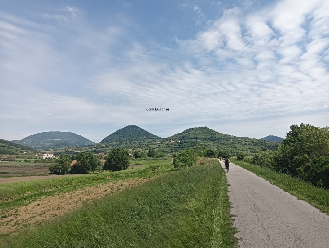 Colli Euganei 13