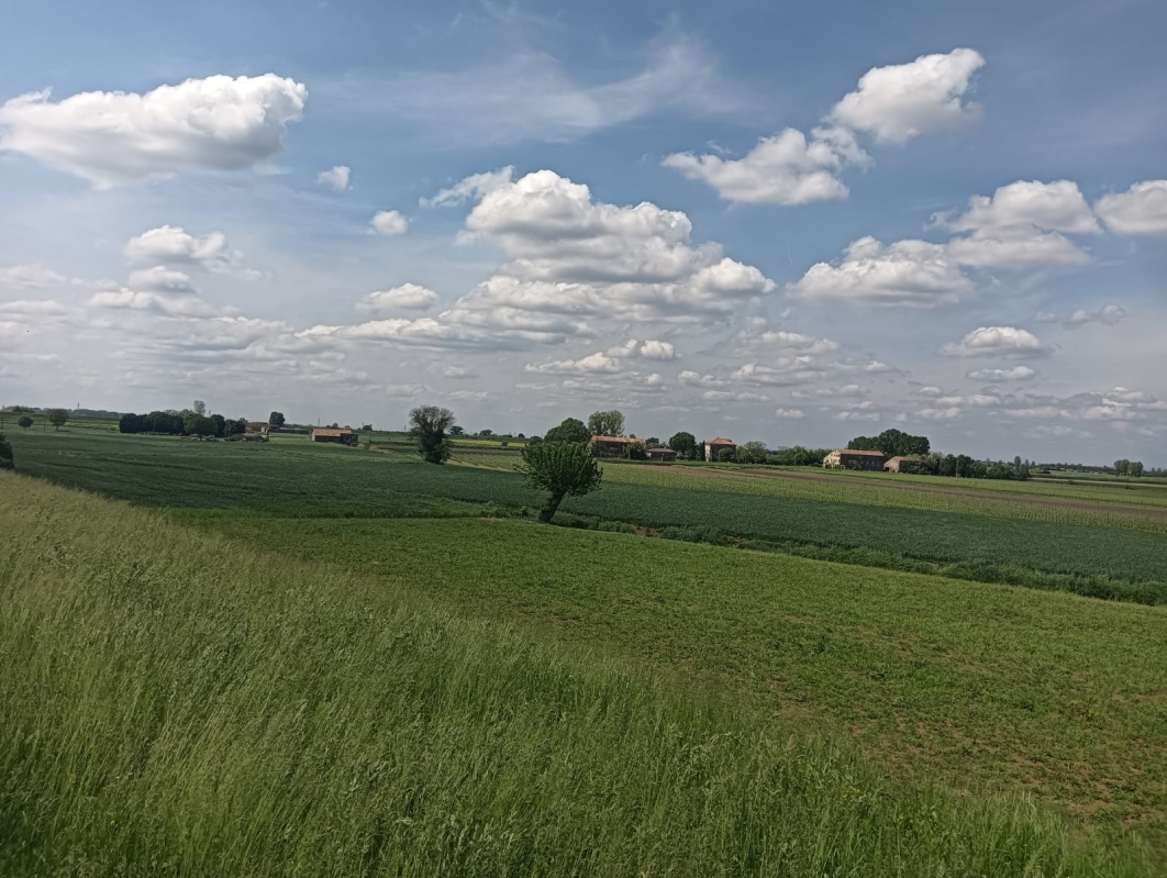 Colli Euganei 14