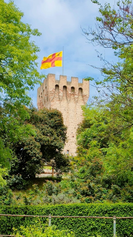Colli Euganei 16-3