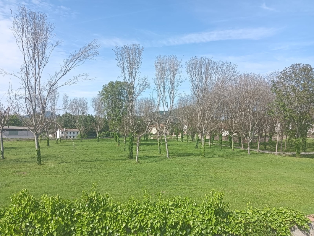 Colli Euganei 25