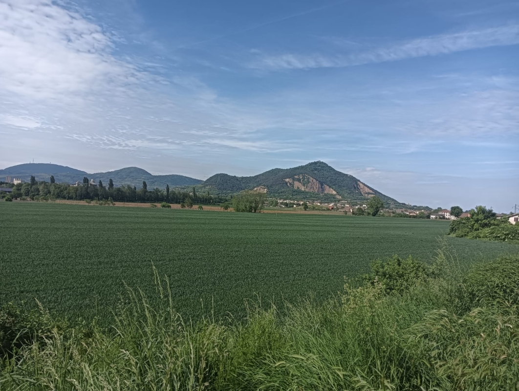 Colli Euganei 21
