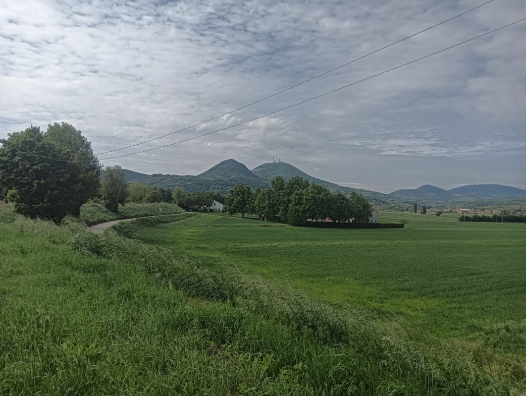 Colli Euganei 19