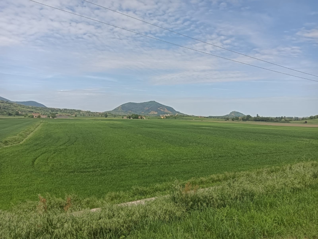 Colli Euganei 18