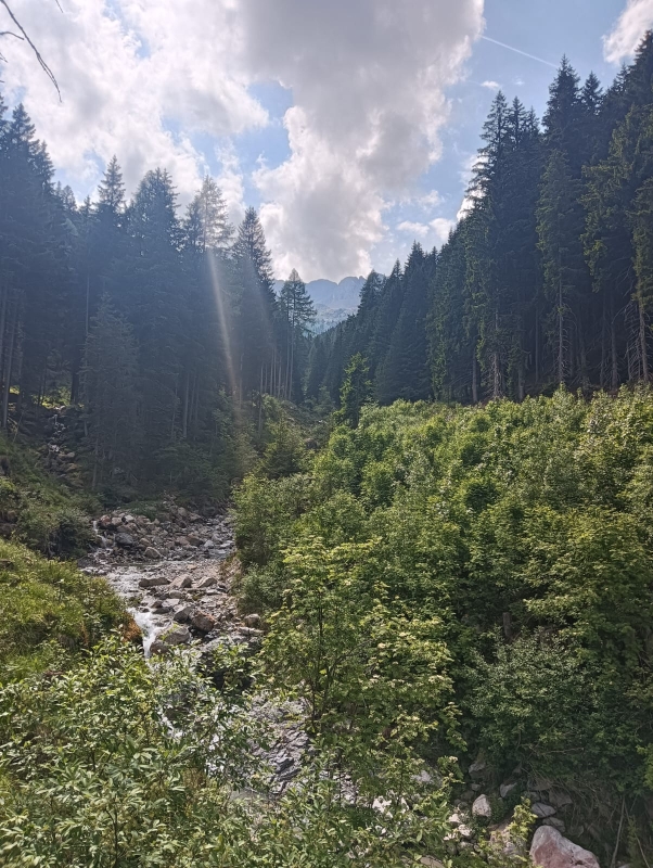 Lago di San Pancrazio 28