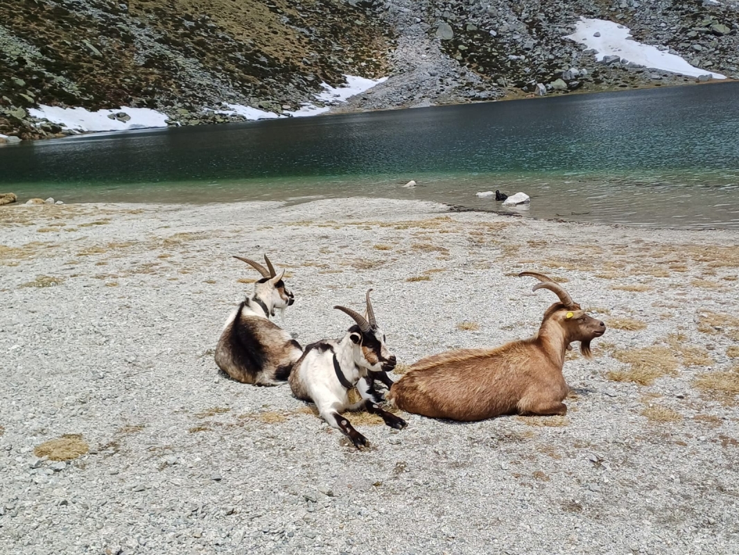 Lago di San Pancrazio 29