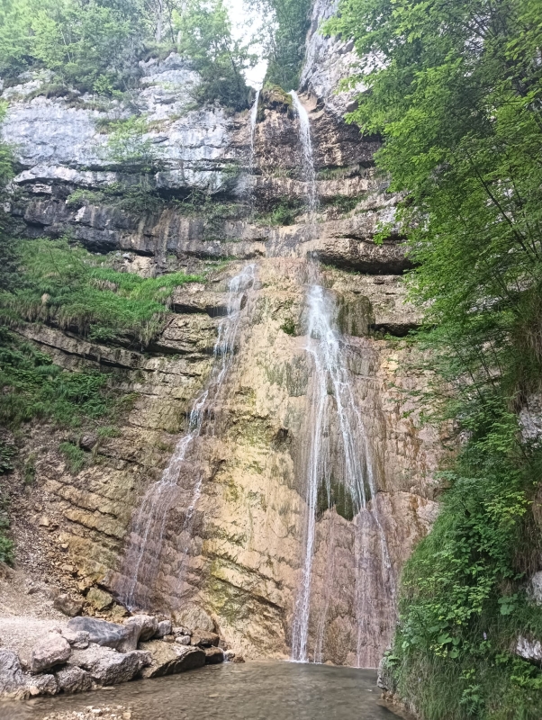Finonchio 21