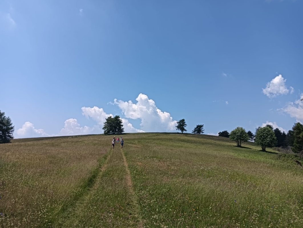 Finonchio 14