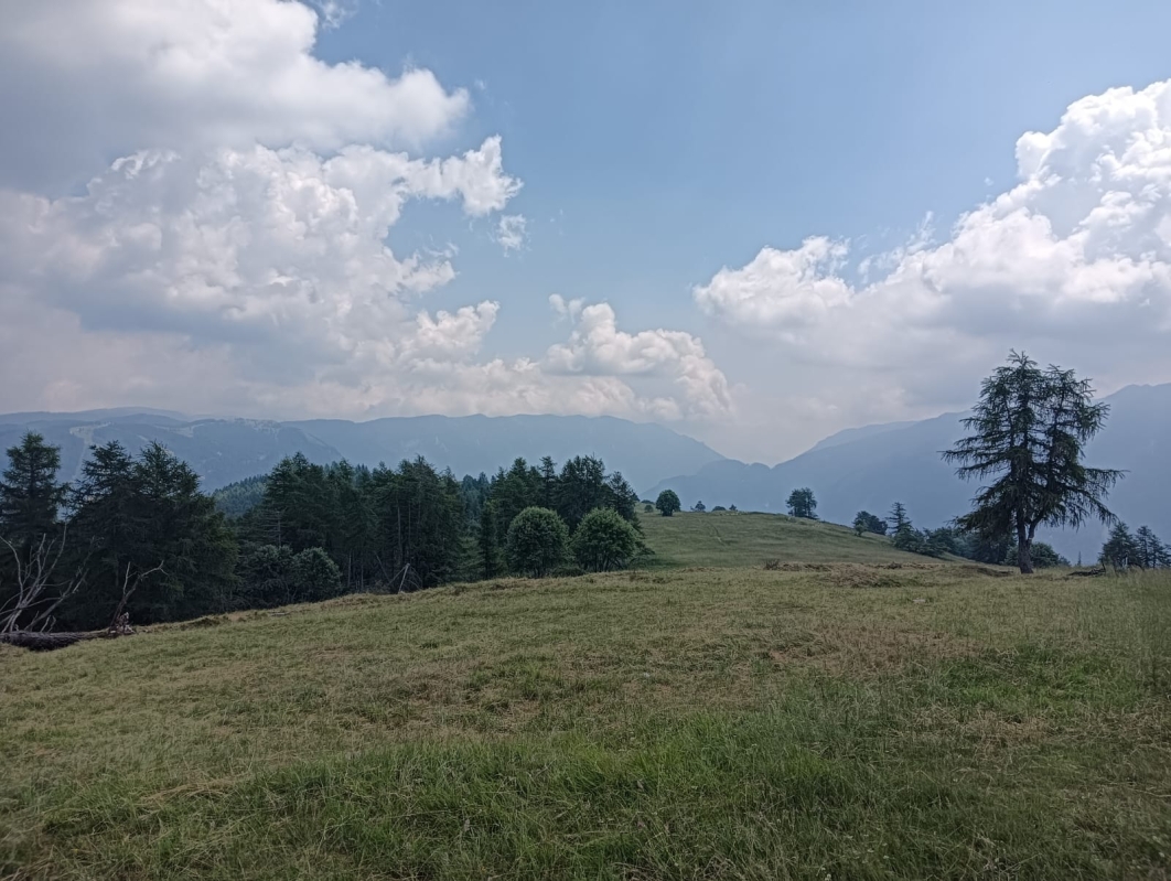 Finonchio 13