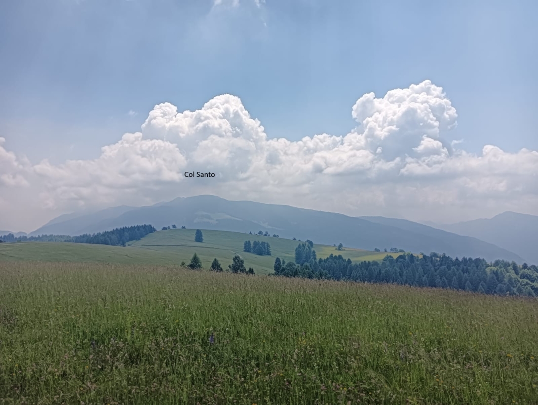 Finonchio 11