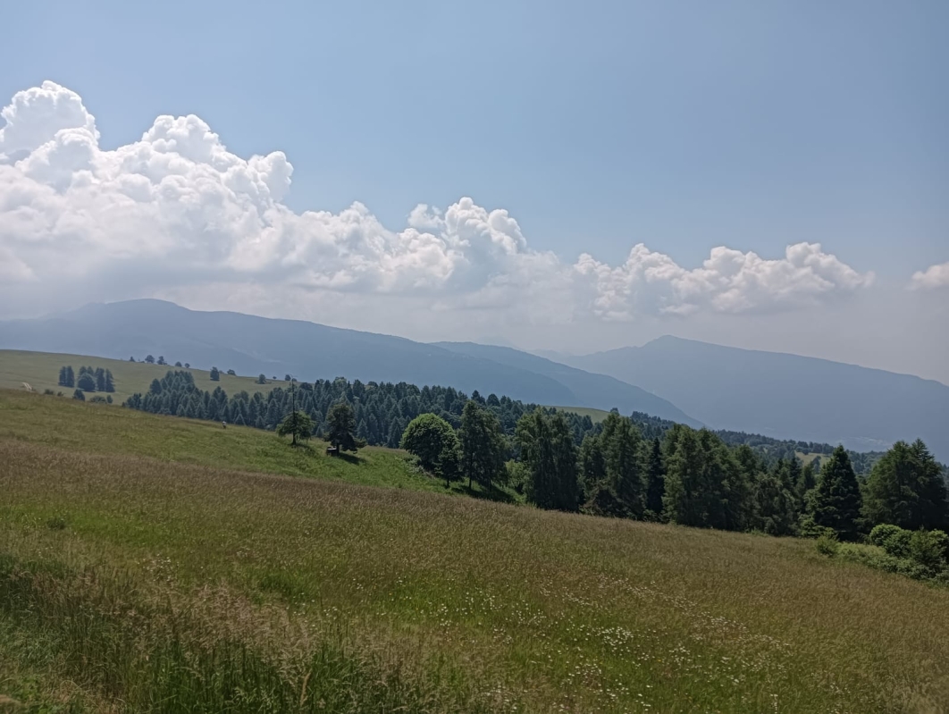 Finonchio 10