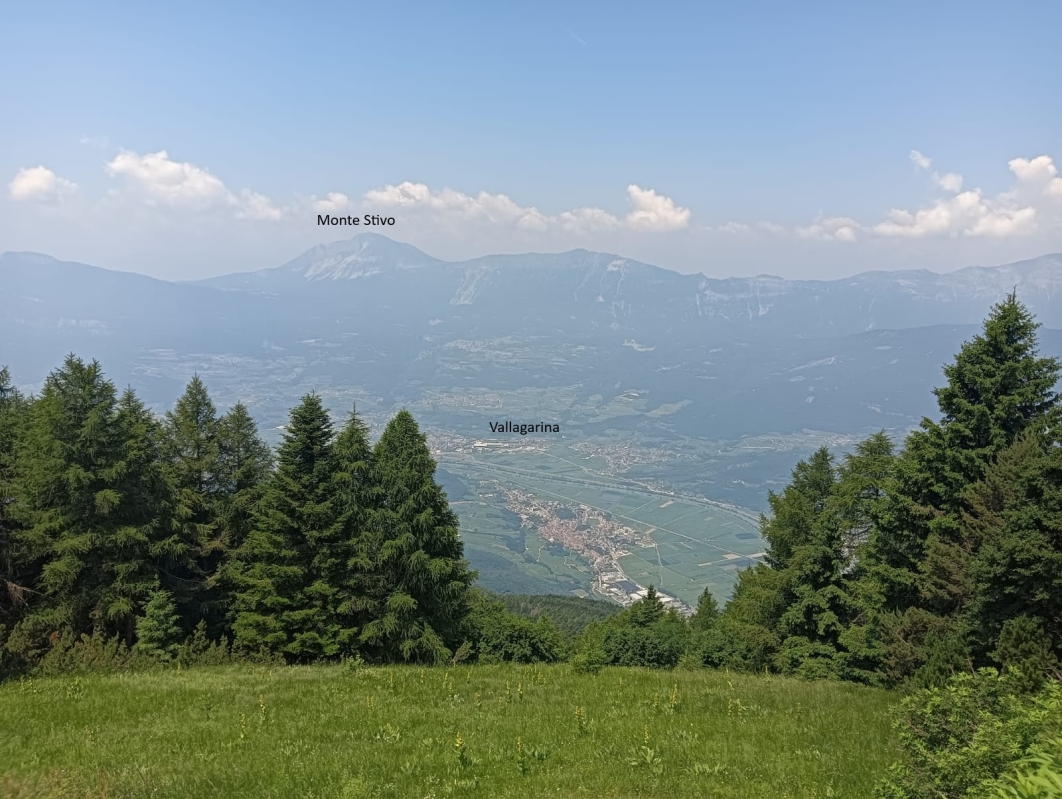 Finonchio 9