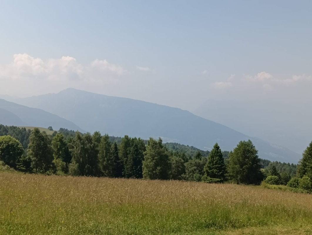 Finonchio 8