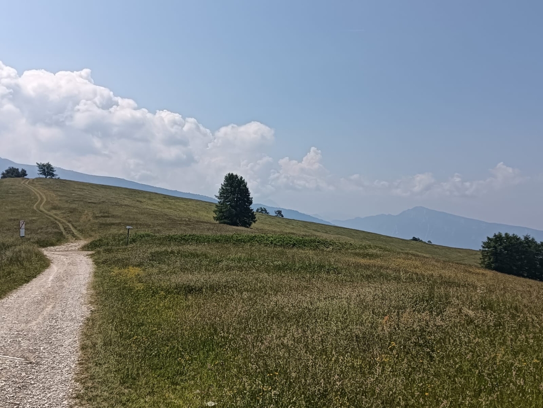 Finonchio 4