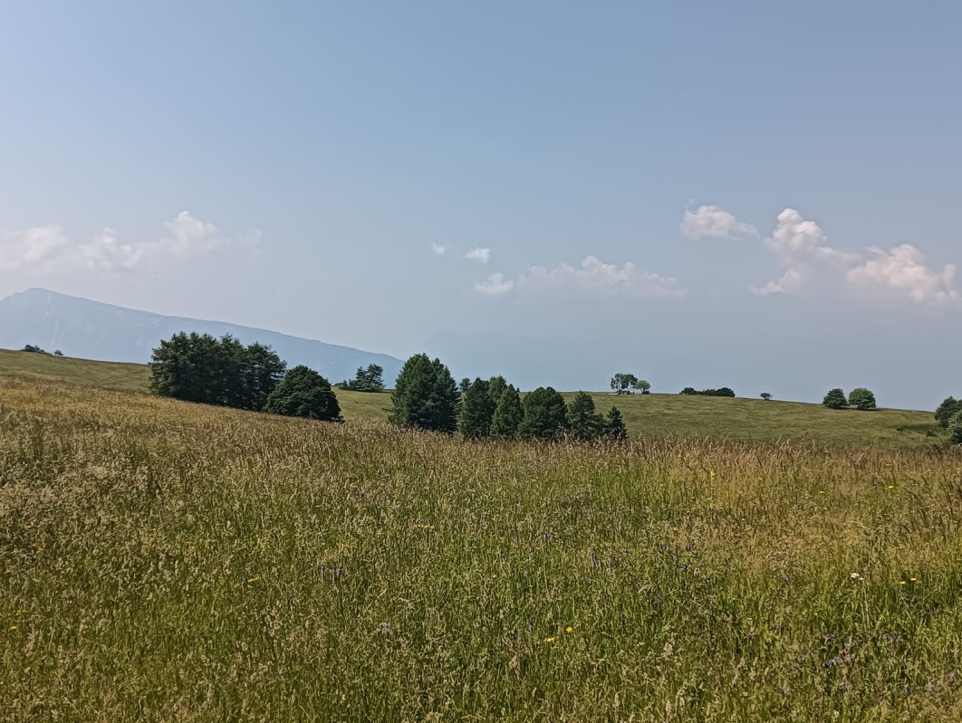 Finonchio 3