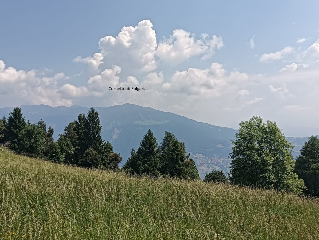 Finonchio 2